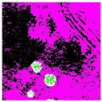 Remotesensing 14 00801 i007