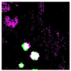 Remotesensing 14 00801 i008
