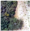 Remotesensing 14 00801 i009