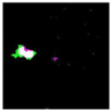 Remotesensing 14 00801 i010