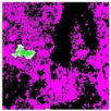 Remotesensing 14 00801 i011
