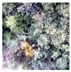 Remotesensing 14 00801 i013
