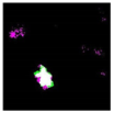 Remotesensing 14 00801 i014