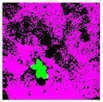 Remotesensing 14 00801 i015