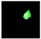 Remotesensing 14 00801 i019