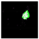 Remotesensing 14 00801 i020