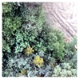 Remotesensing 14 00801 i021