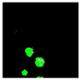 Remotesensing 14 00801 i023