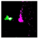 Remotesensing 14 00801 i025