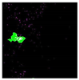 Remotesensing 14 00801 i026