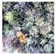 Remotesensing 14 00801 i027