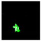 Remotesensing 14 00801 i029