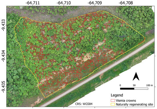 Remotesensing 14 00830 g0a1 550