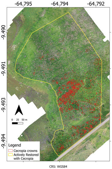Remotesensing 14 00830 g0a2 550