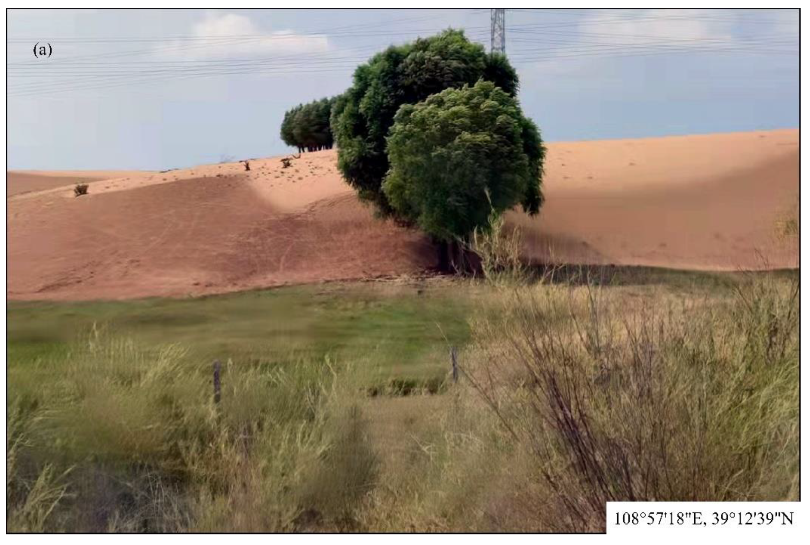 Remotesensing 14 00837 g006 Remotesensing 14 00837 g006