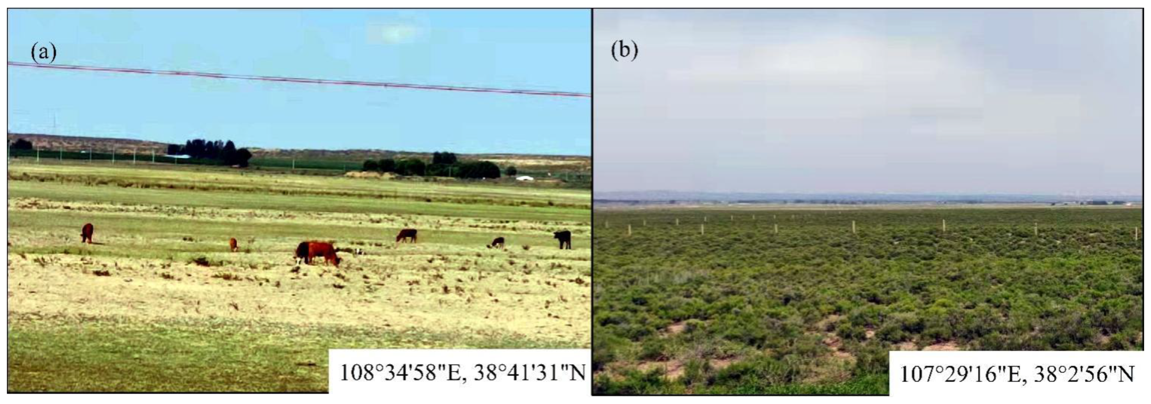 Remotesensing 14 00837 g007 Remotesensing 14 00837 g007