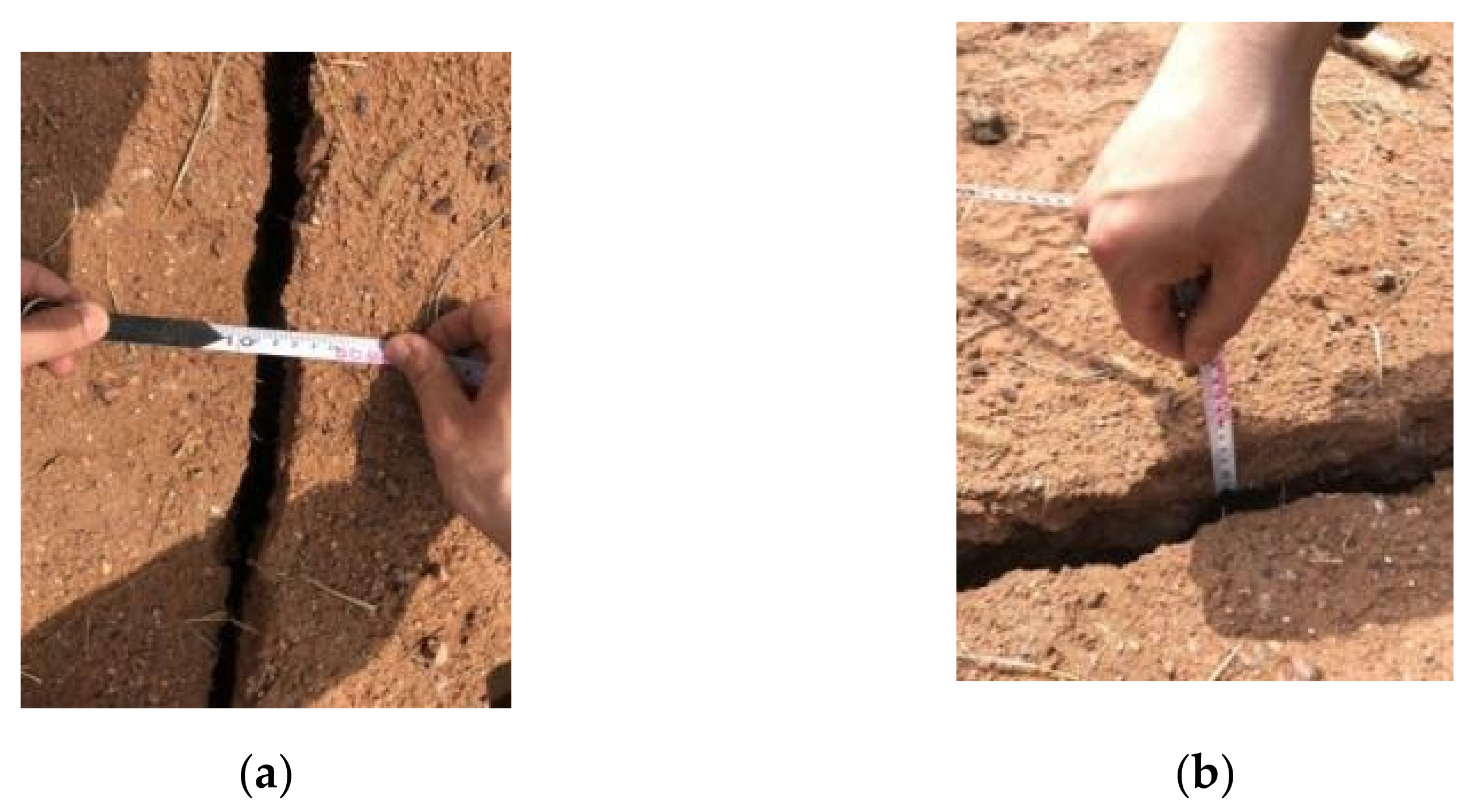 Remotesensing 14 00840 g010