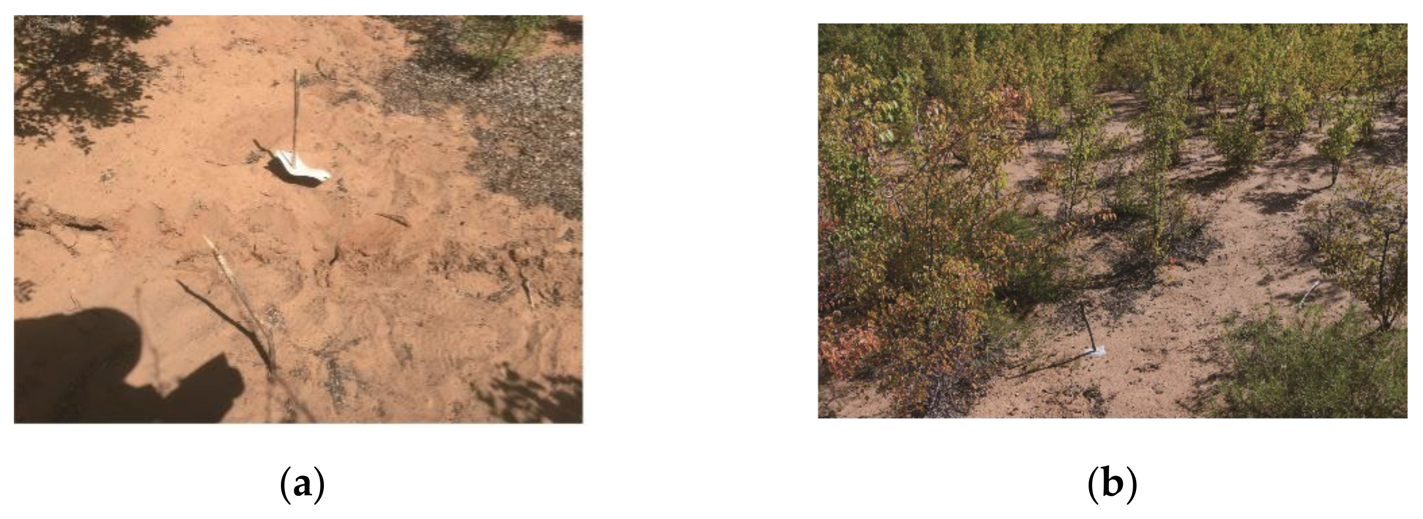 Remotesensing 14 00840 g022