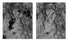 Remotesensing 14 00871 i004