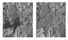 Remotesensing 14 00871 i007