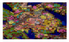 Remotesensing 14 00871 i010