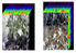 Remotesensing 14 00871 i018