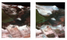 Remotesensing 14 00871 i019
