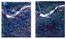 Remotesensing 14 00871 i020