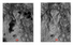 Remotesensing 14 00871 i024