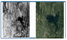 Remotesensing 14 00871 i028