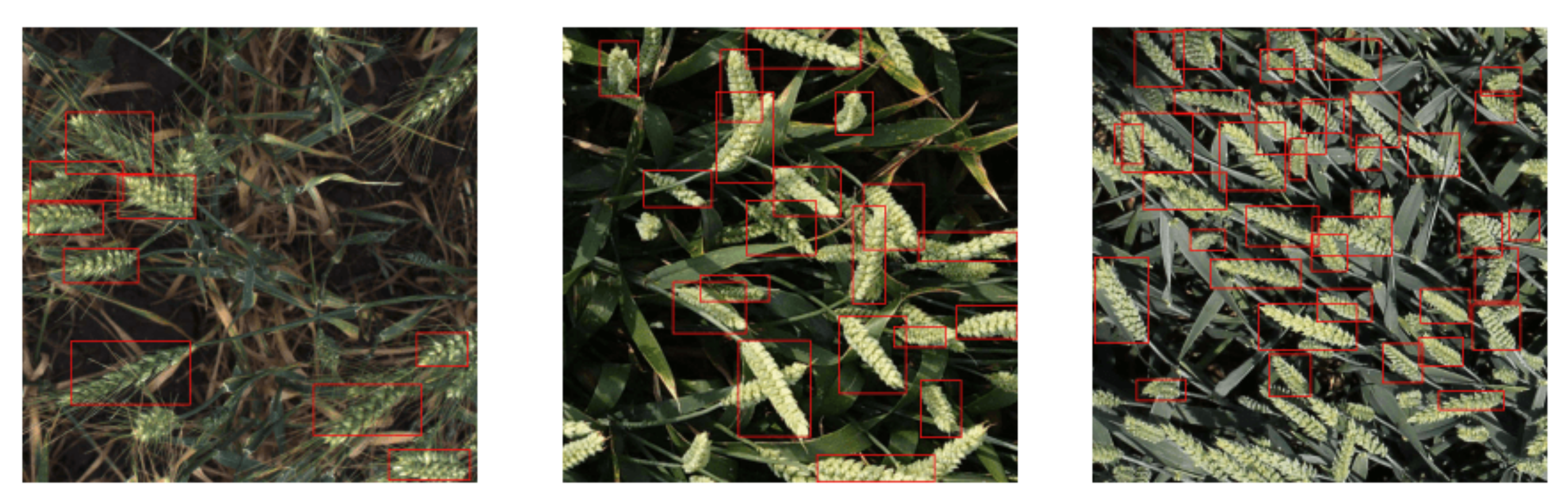 Remotesensing 14 00923 g018 Remotesensing 14 00923 g018