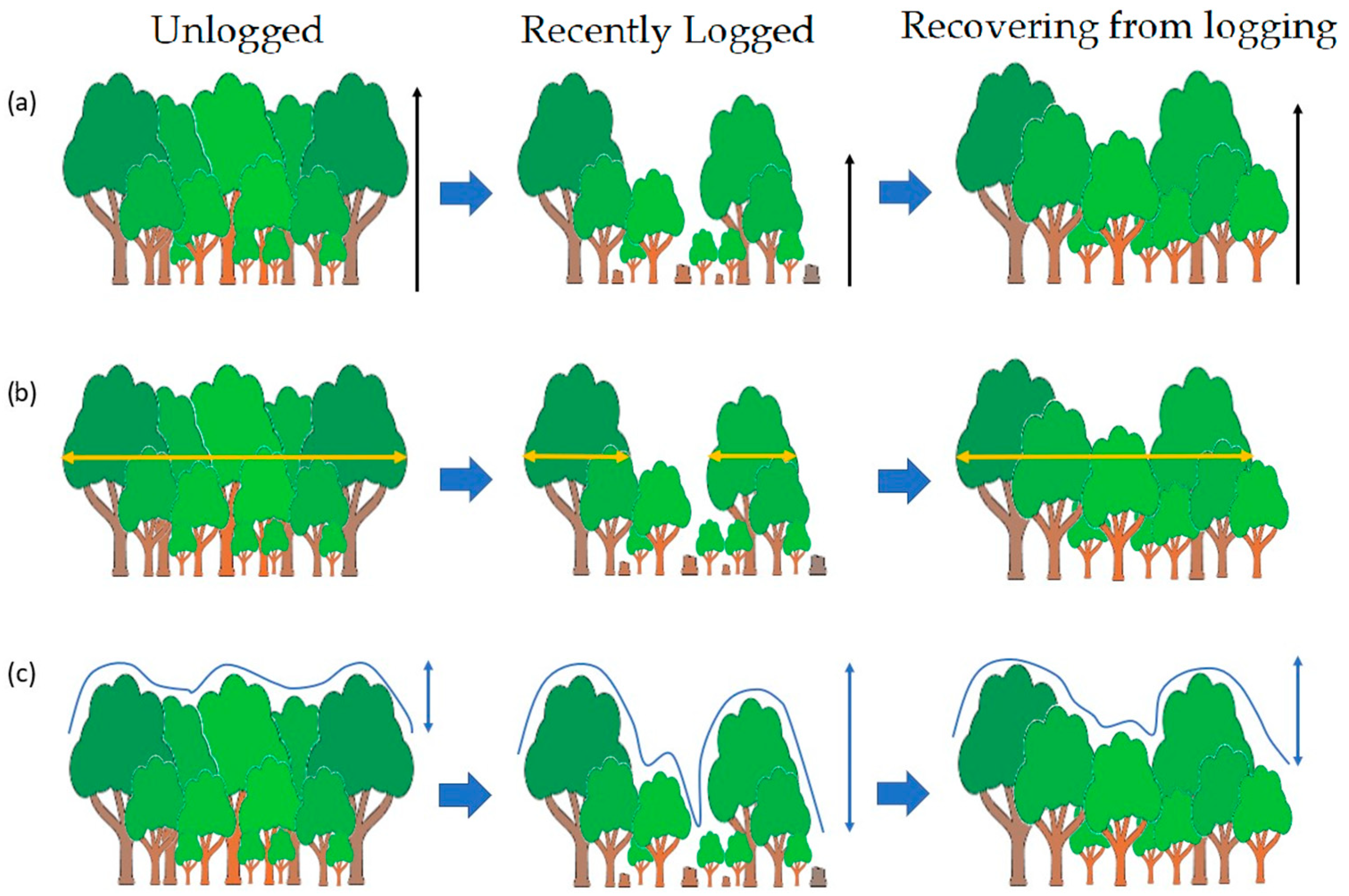 Remotesensing 14 00933 g001