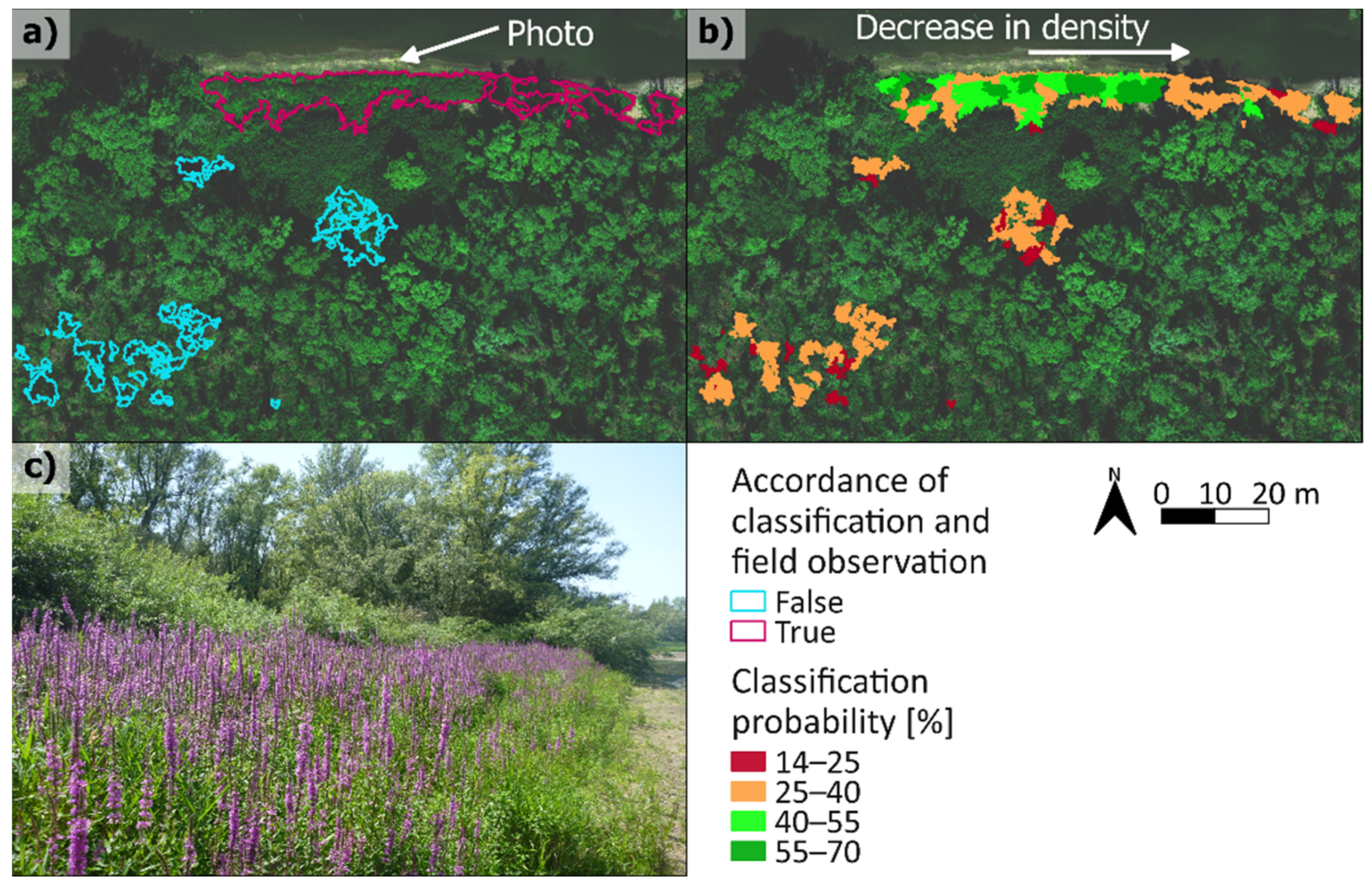 Remotesensing 14 00954 g005