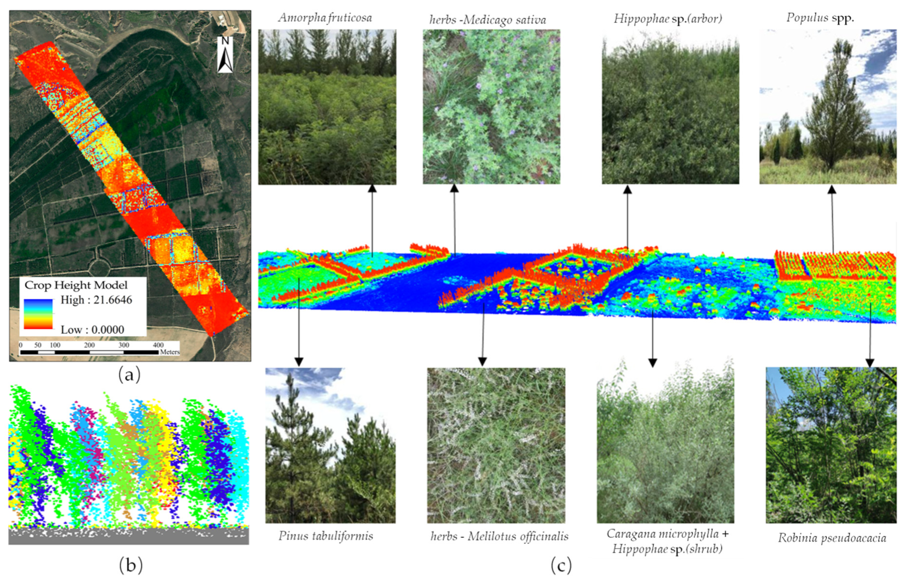 Remotesensing 14 00978 g016