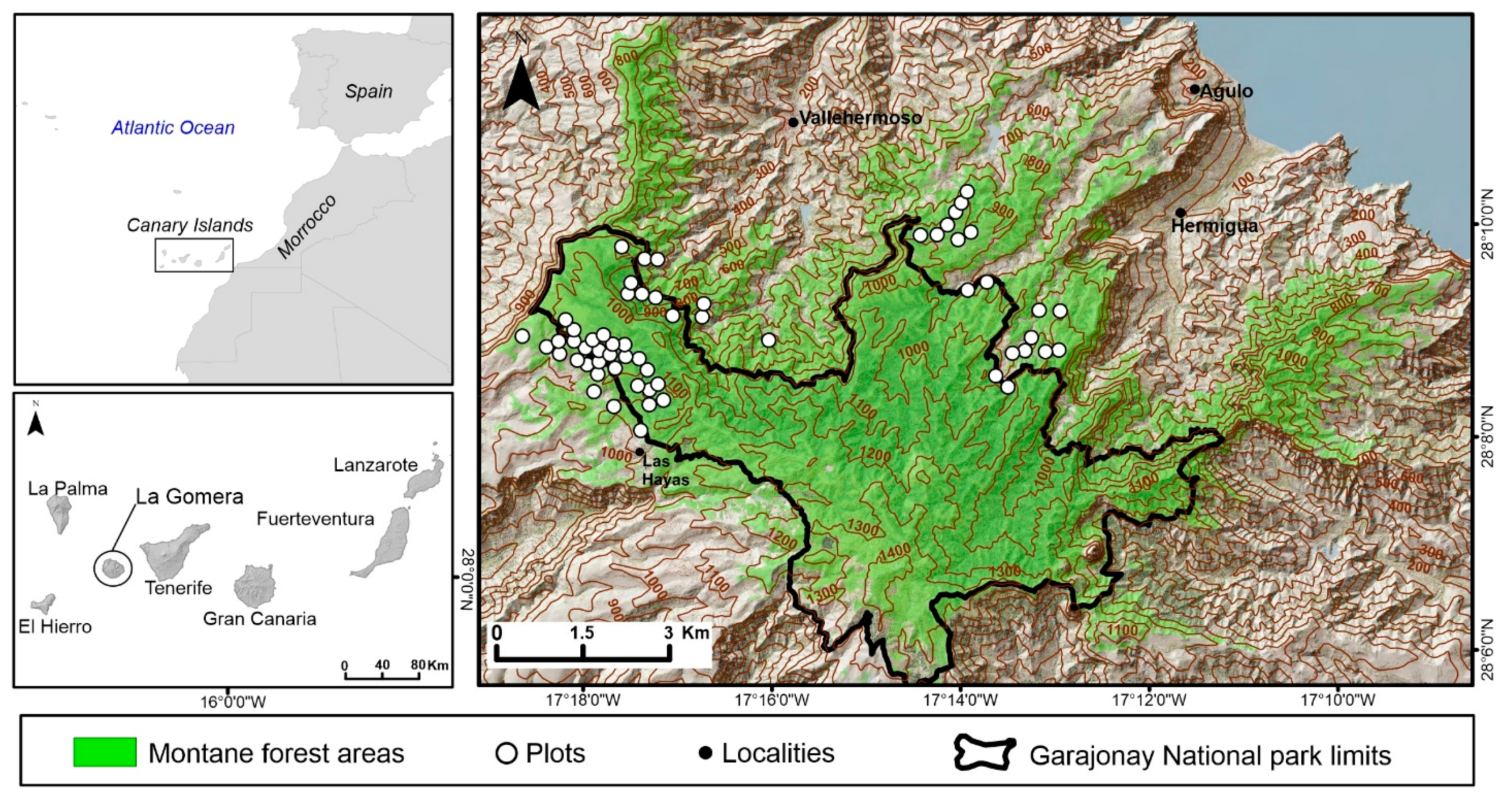 Remotesensing 14 00994 g001