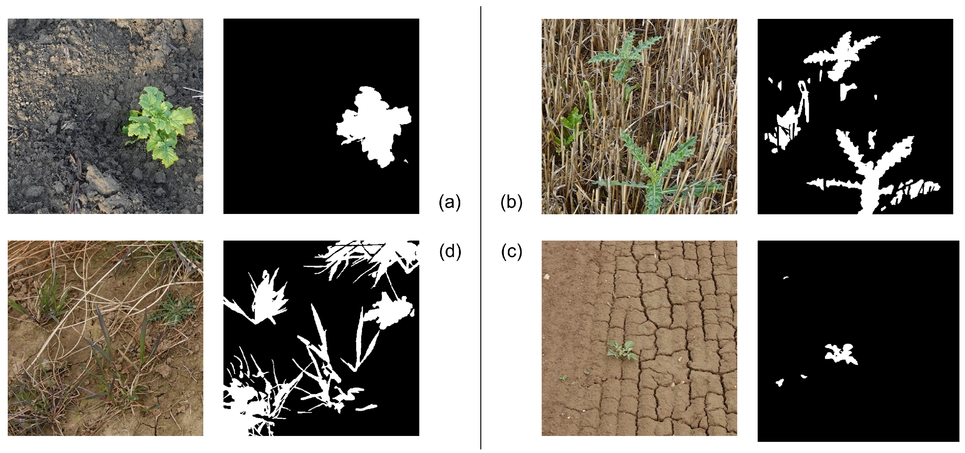 Remotesensing 14 00996 g001