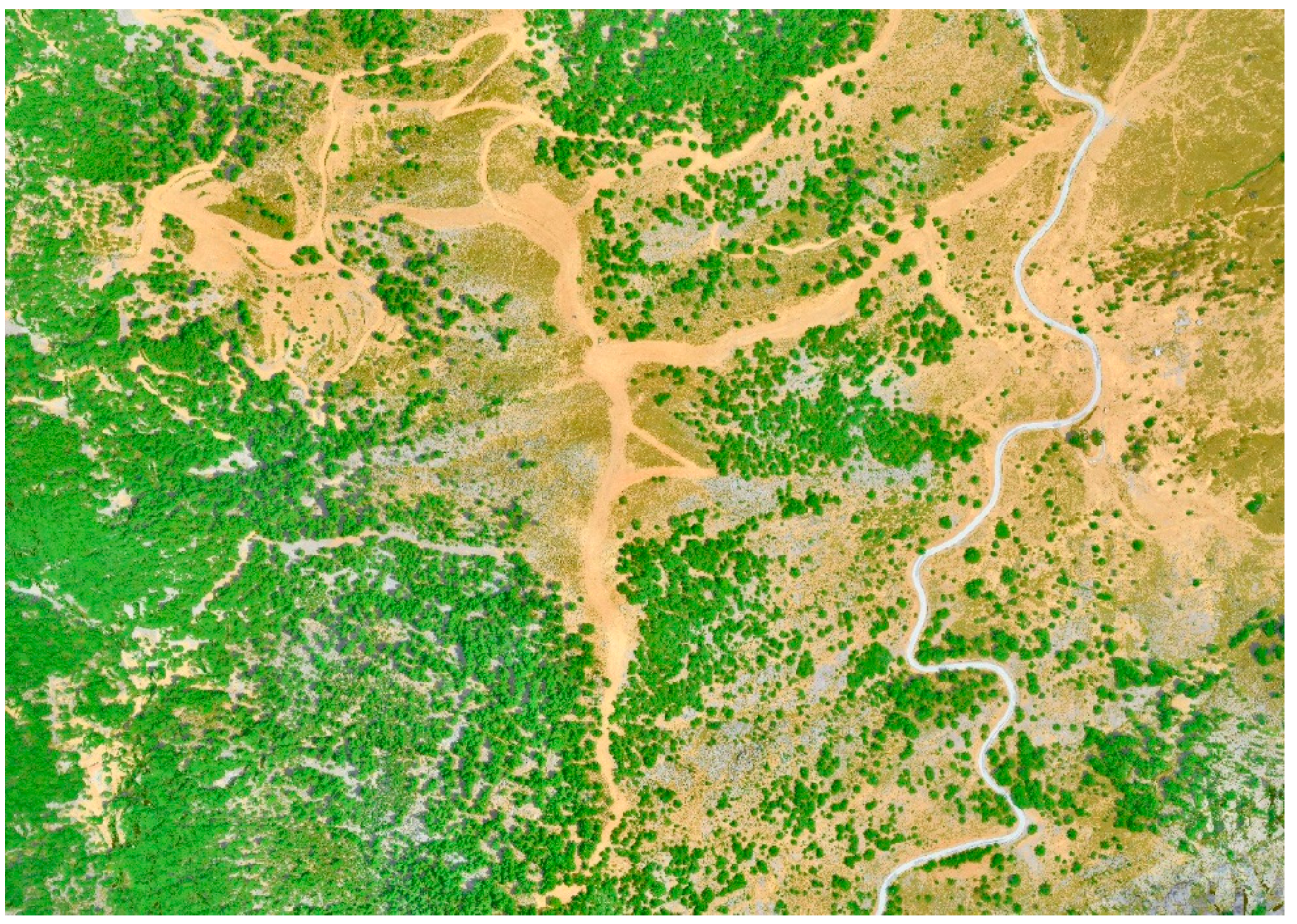 Remotesensing 14 01020 g009 Remotesensing 14 01020 g009