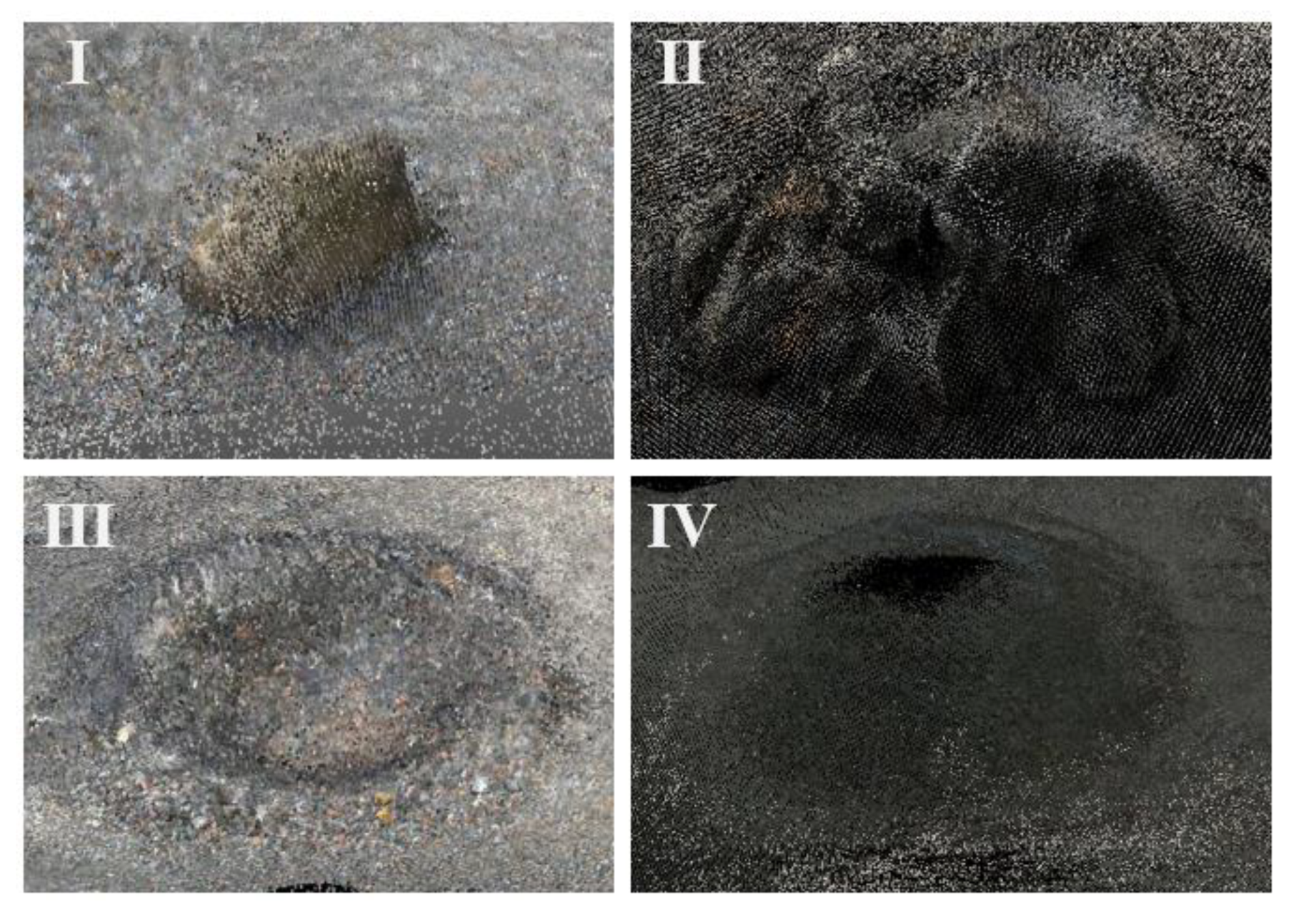 Remotesensing 14 01027 g010