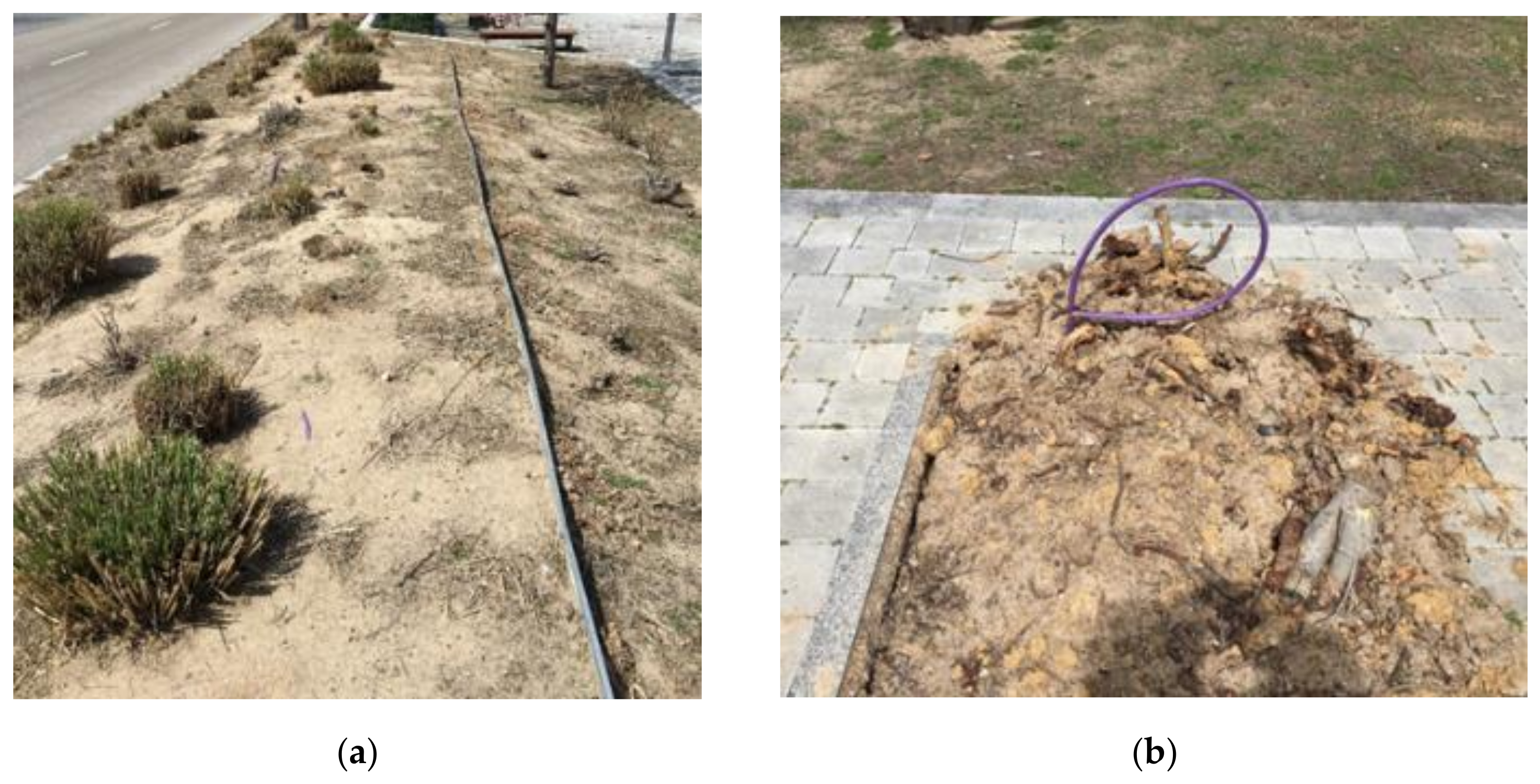 Remotesensing 14 01060 g010