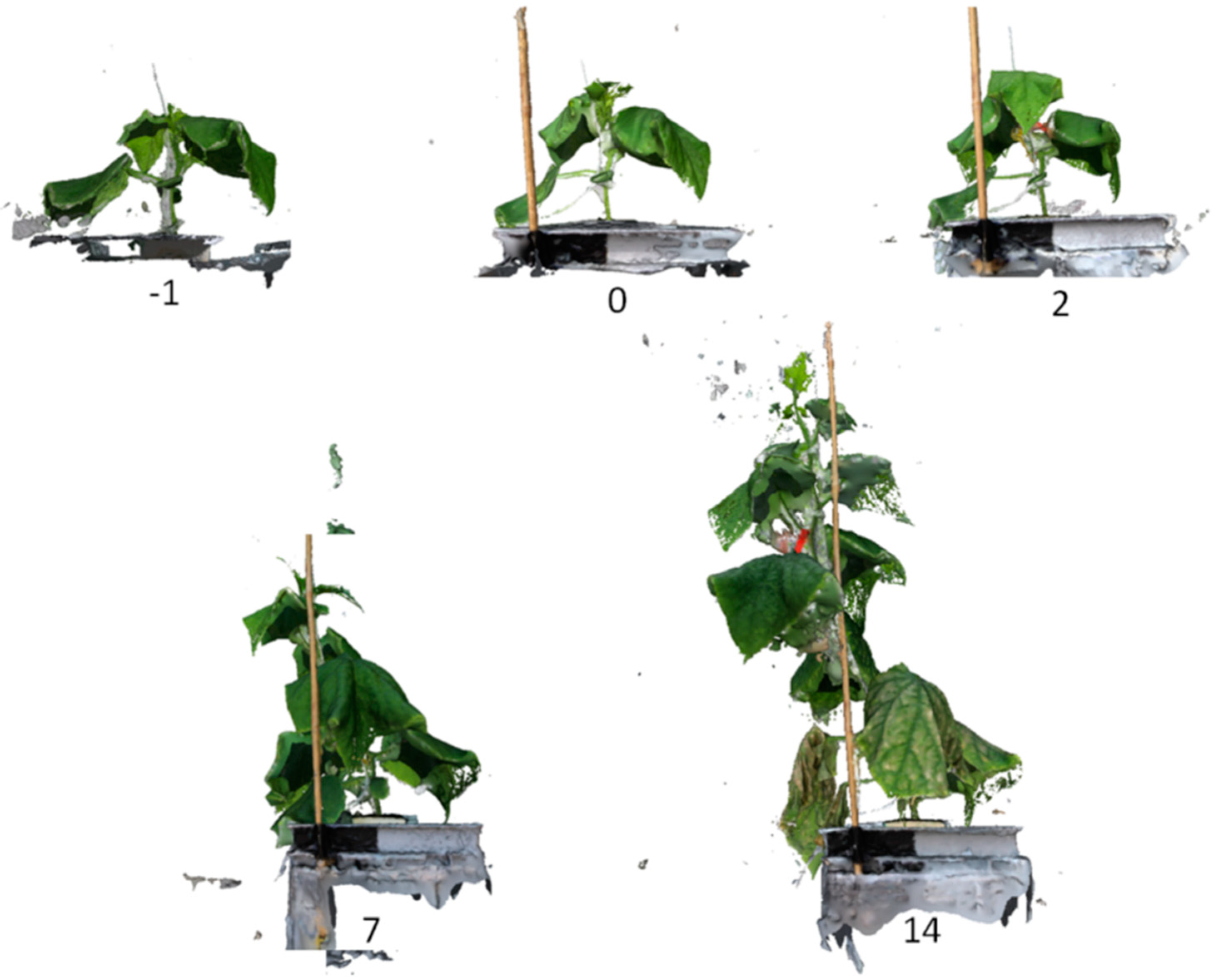 Remotesensing 14 01094 g002