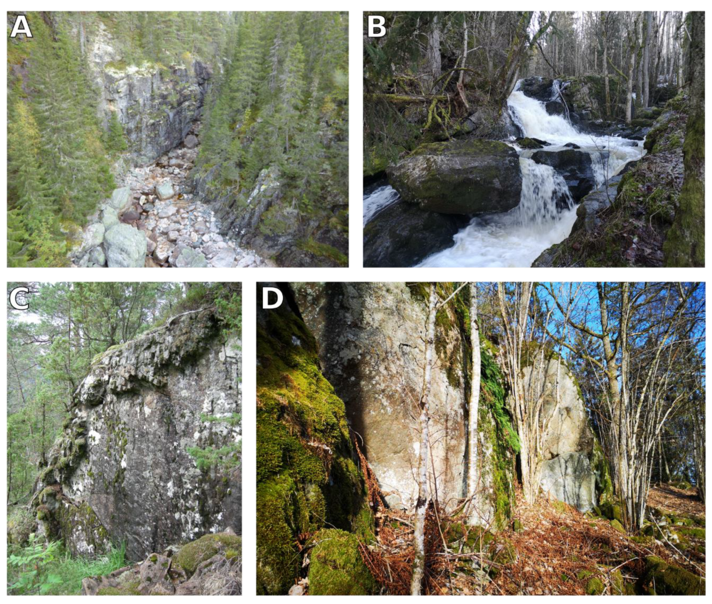 Remotesensing 14 01184 g002