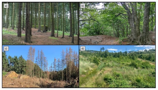 Remotesensing 14 01189 g0a1 550