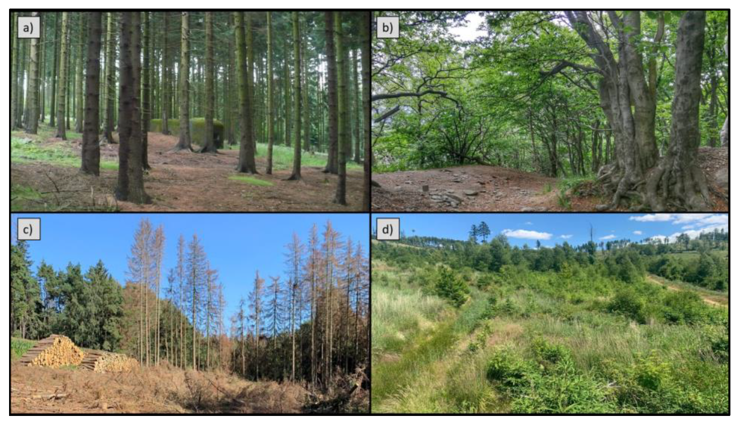 Remotesensing 14 01189 g0a1