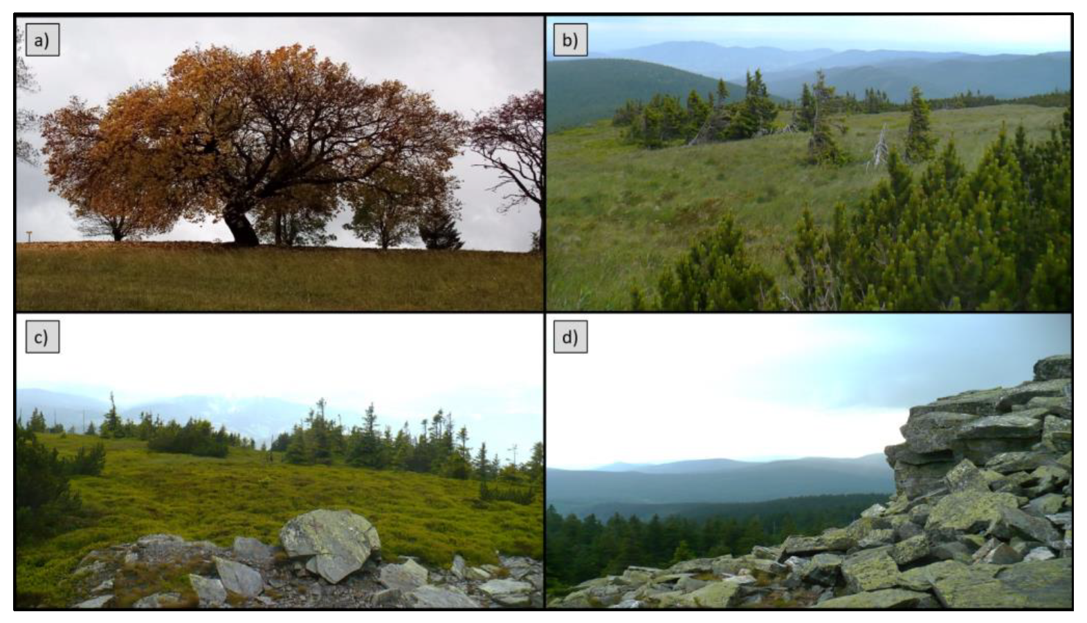 Remotesensing 14 01189 g0a6