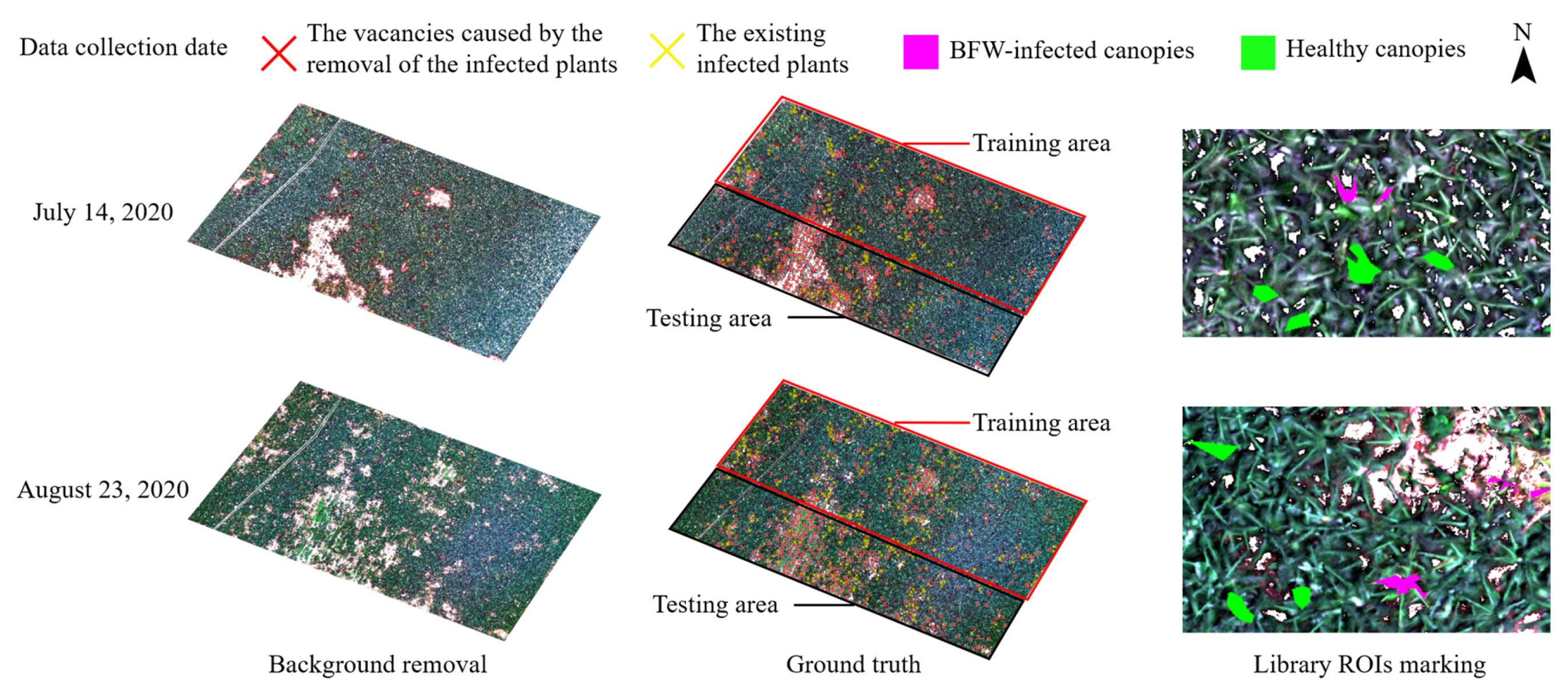 Remotesensing 14 01231 g006