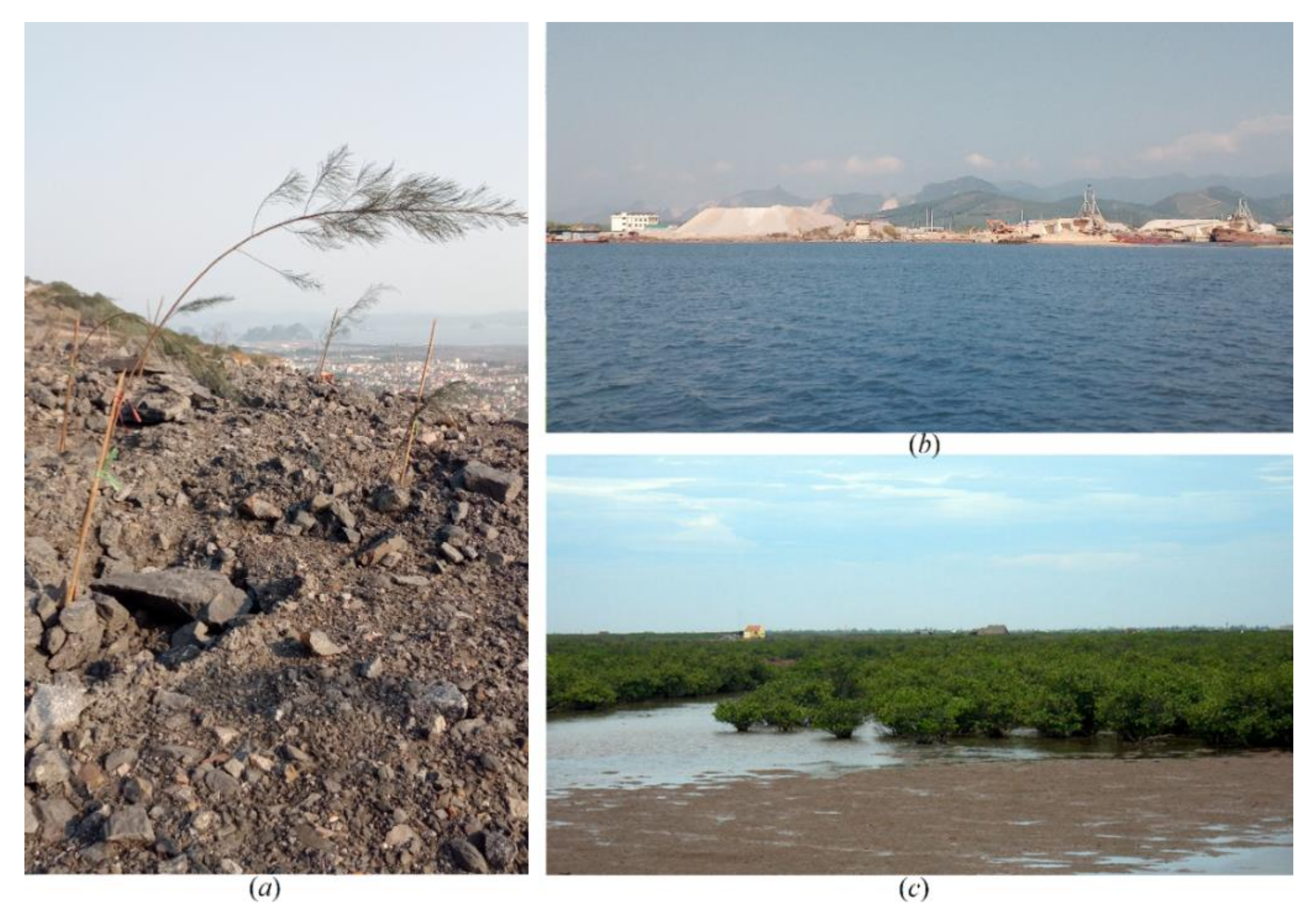 Remotesensing 14 01241 g005 Remotesensing 14 01241 g005