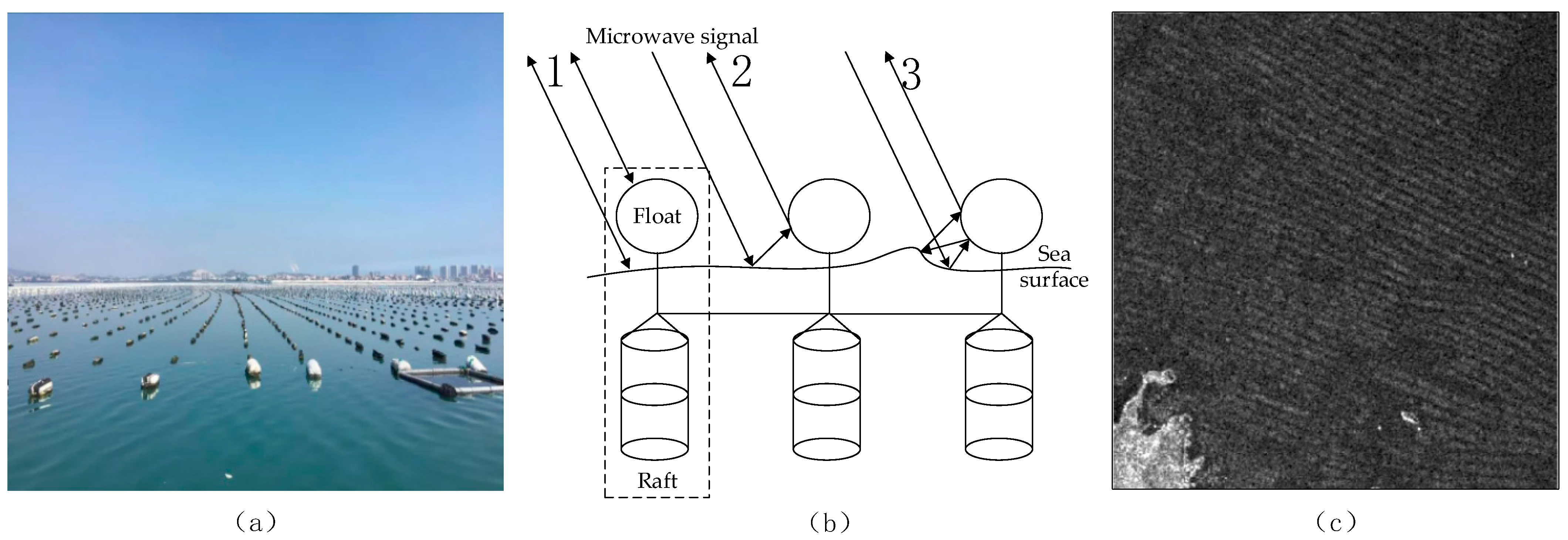 Remotesensing 14 01249 g001