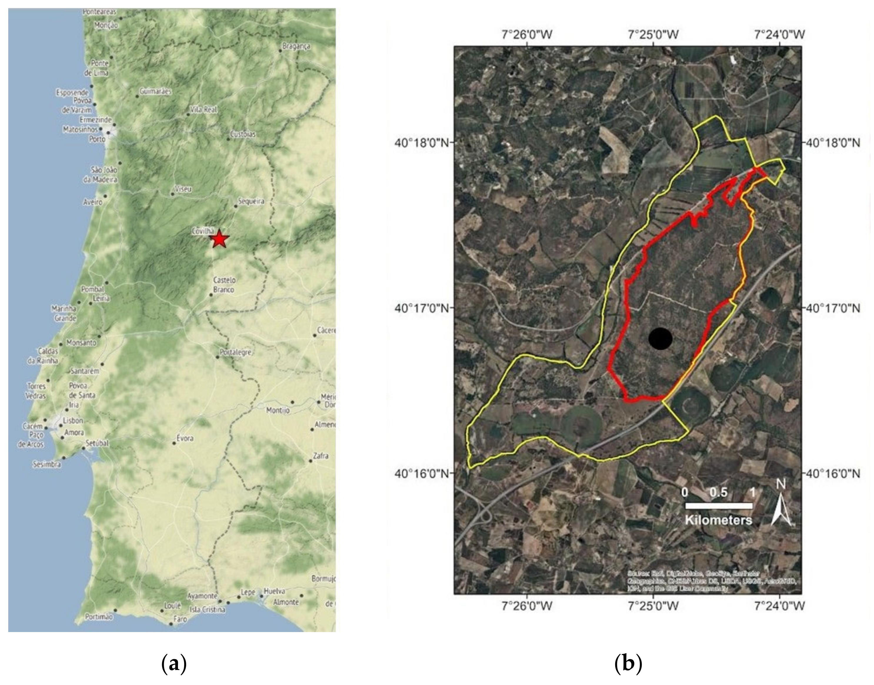 Remotesensing 14 01262 g001