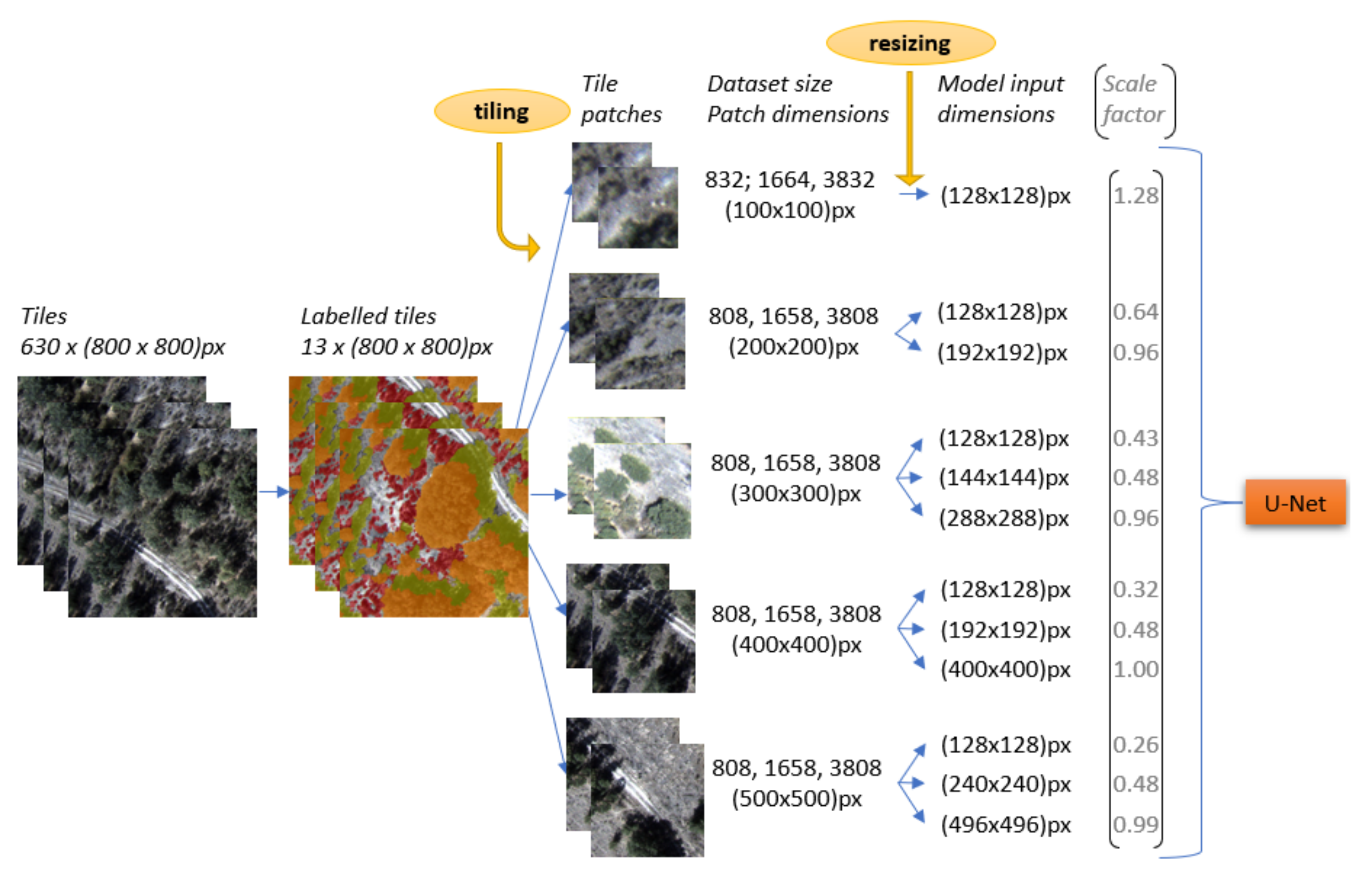Remotesensing 14 01262 g004