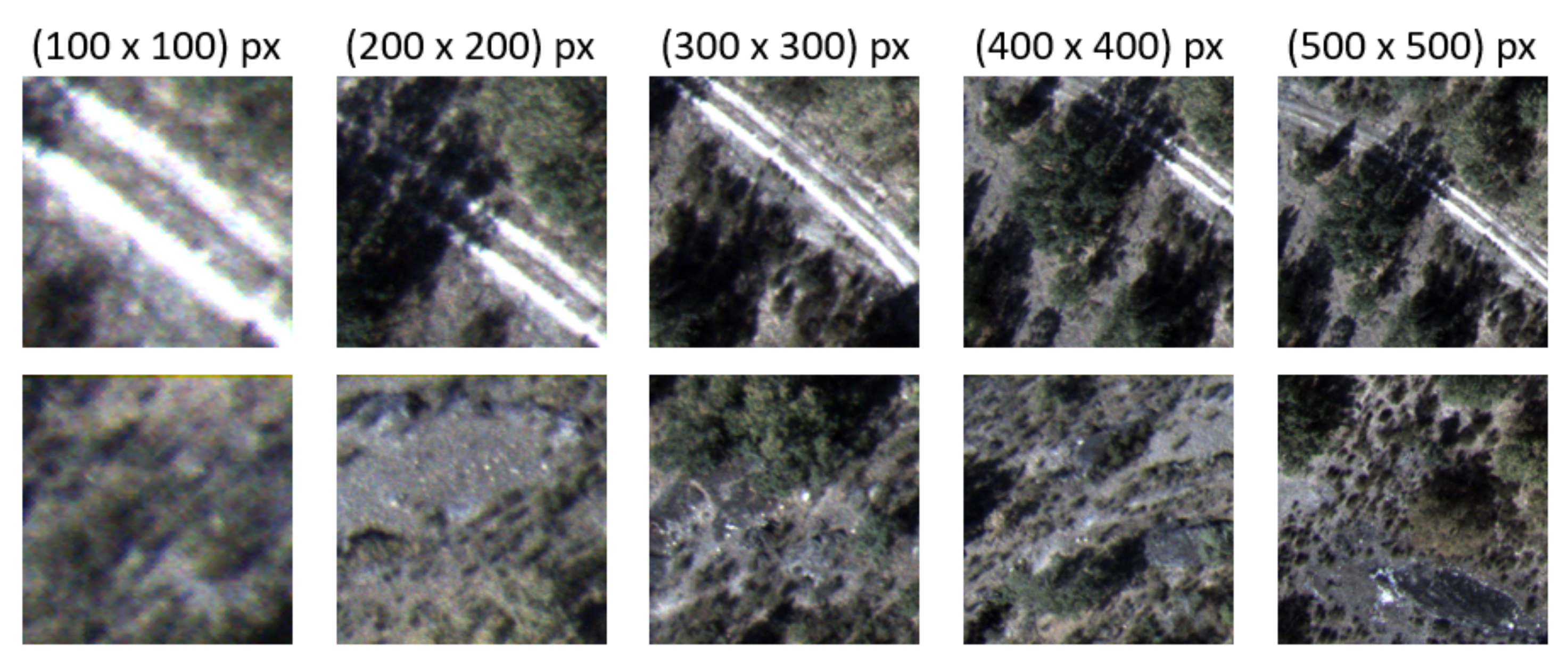 Remotesensing 14 01262 g006